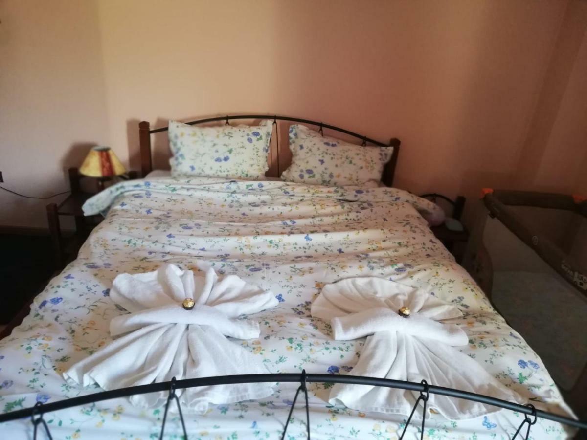 Ambrozia Spa And Relax Family House Baczkowo Zewnętrze zdjęcie