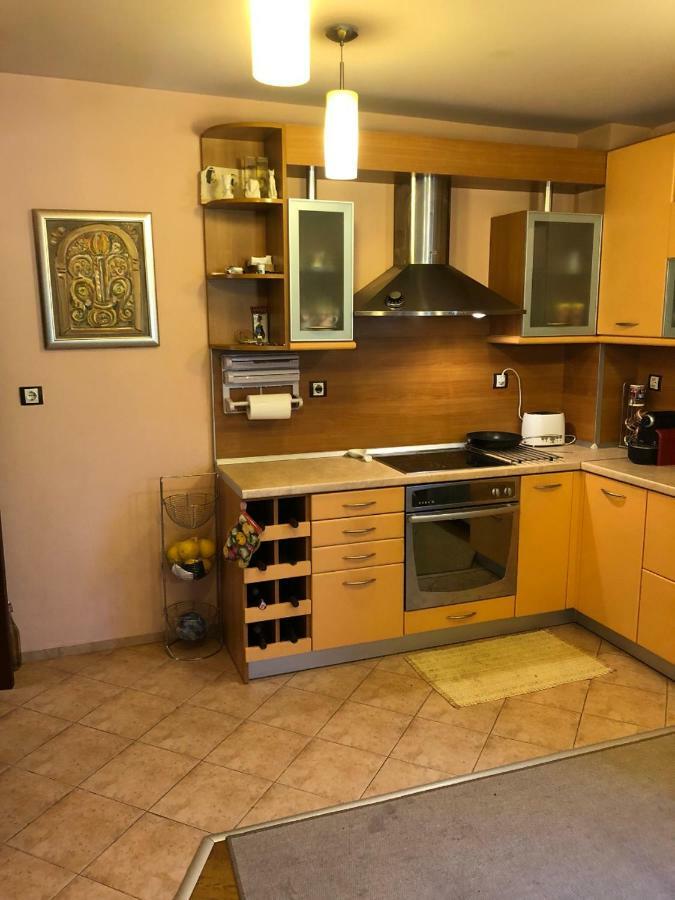 Ambrozia Spa And Relax Family House Baczkowo Zewnętrze zdjęcie