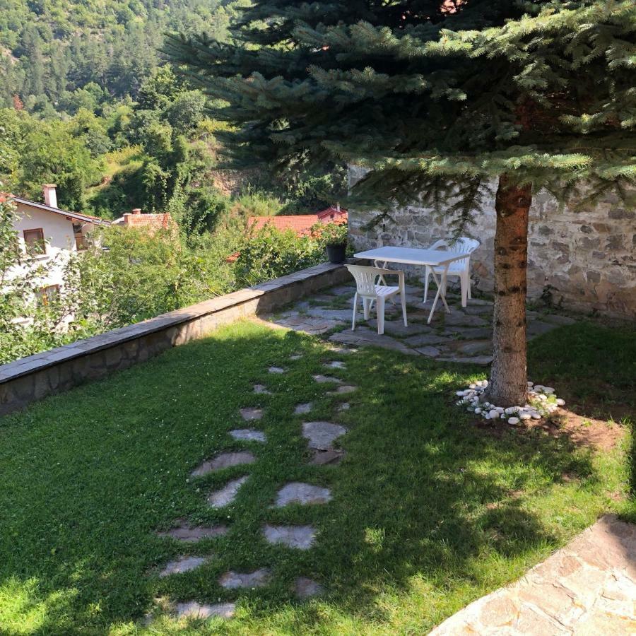 Ambrozia Spa And Relax Family House Baczkowo Zewnętrze zdjęcie