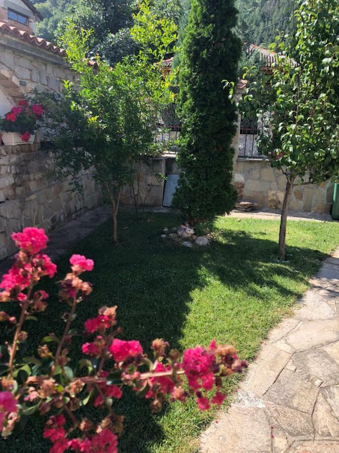 Ambrozia Spa And Relax Family House Baczkowo Zewnętrze zdjęcie