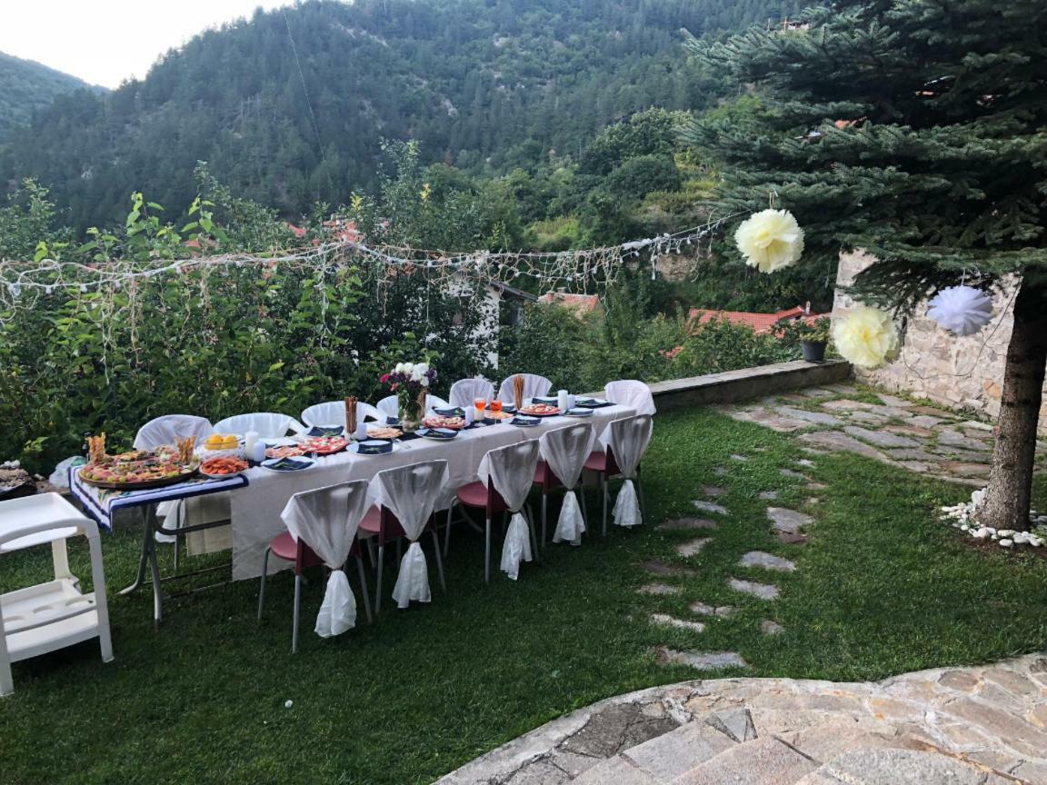 Ambrozia Spa And Relax Family House Baczkowo Zewnętrze zdjęcie